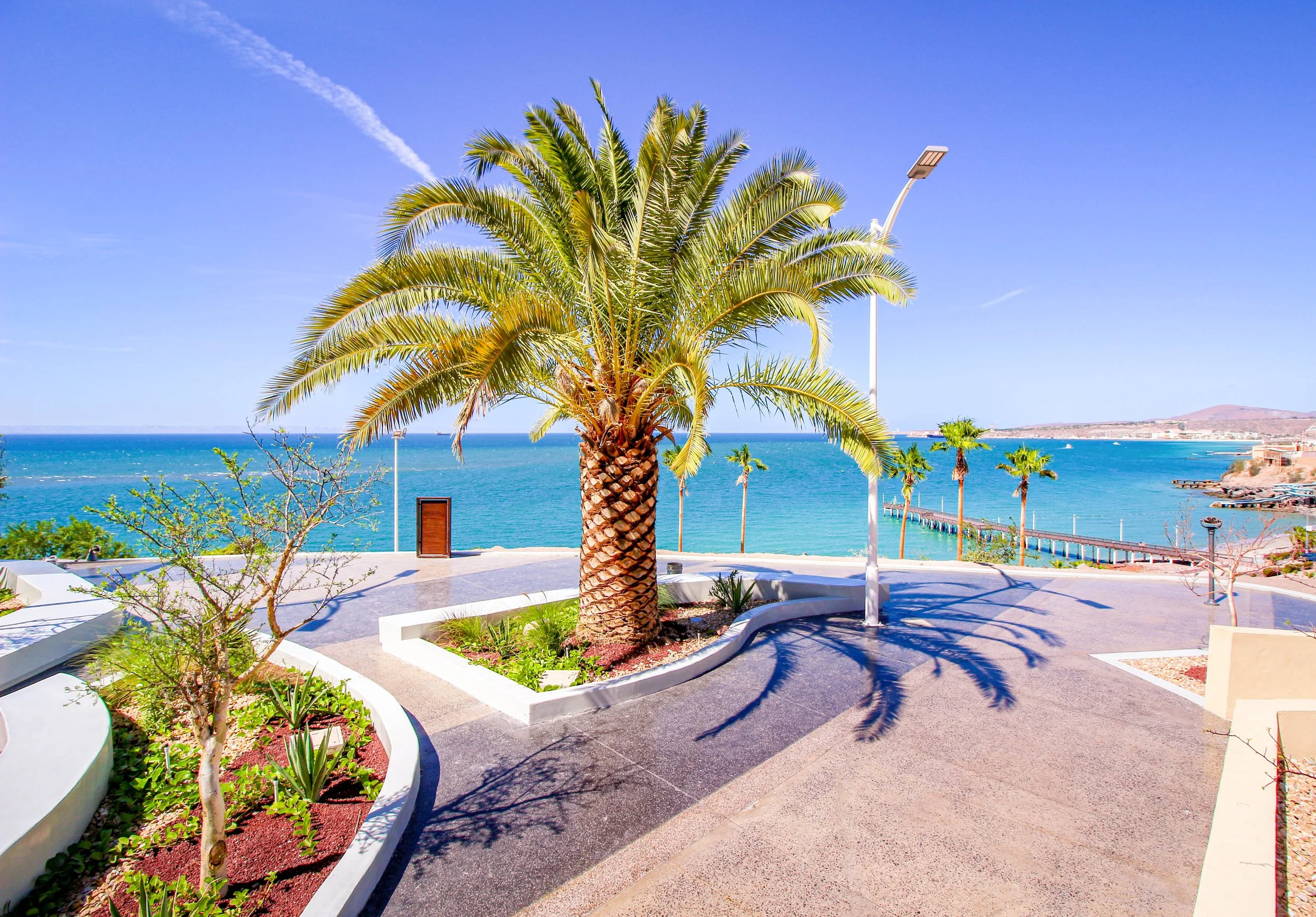 La Paz Tour | Discover & Book Now — Alpha Tours Los Cabos
